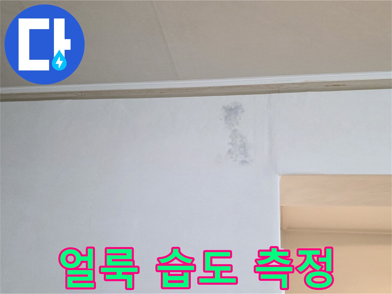 얼룩 습도 측정 - 누수 & 곰팡이 정밀 검사