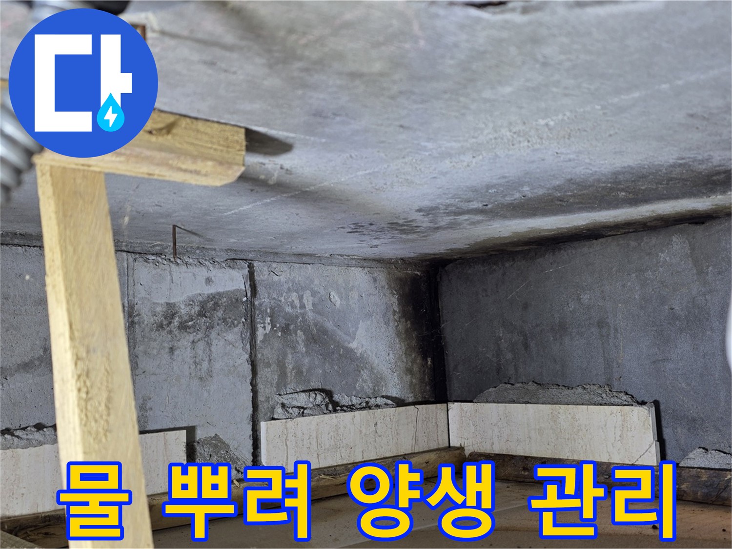 욕조 조적 양생 - 물 뿌려 촉촉하게 유지 관리