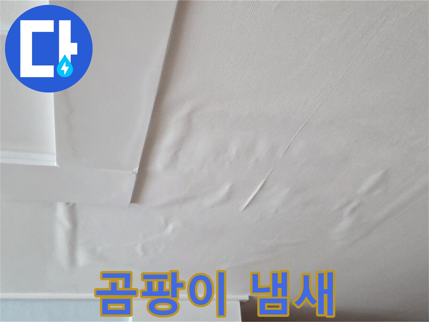 일동기산베스트빌 아파트 천장 누수 - 곰팡이 냄새 - 무기력증 유발