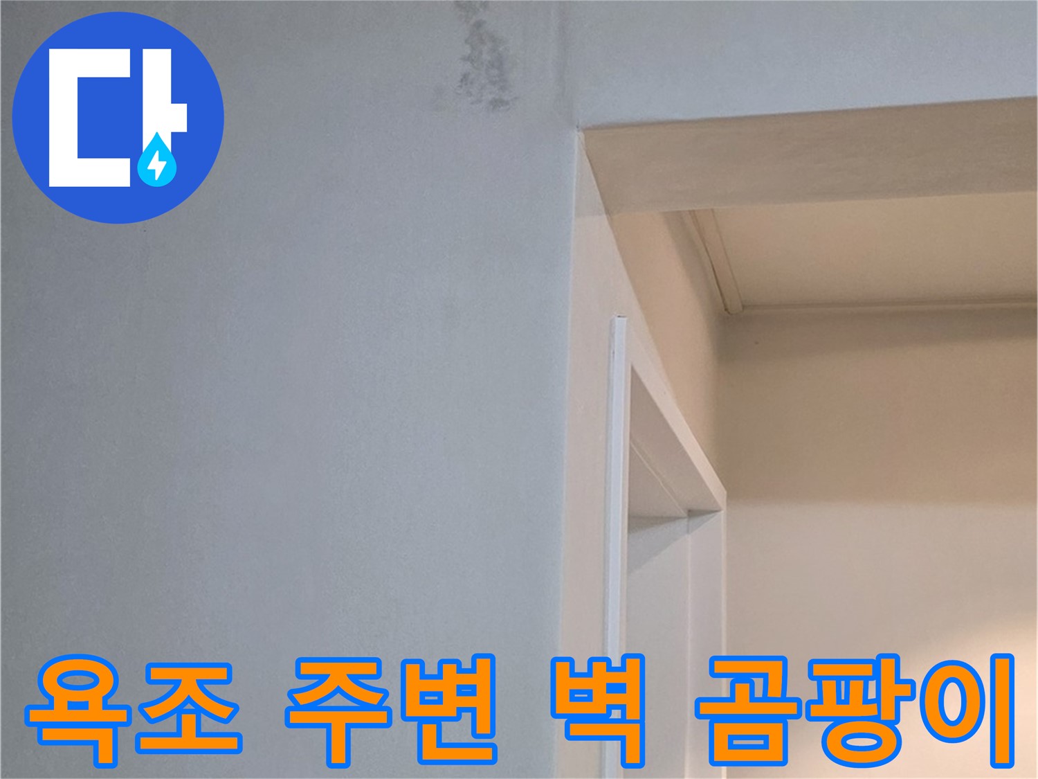 일동면 아파트 욕조 주변 벽 곰팡이 - 누수 의심 상황 및 전문가의 진단