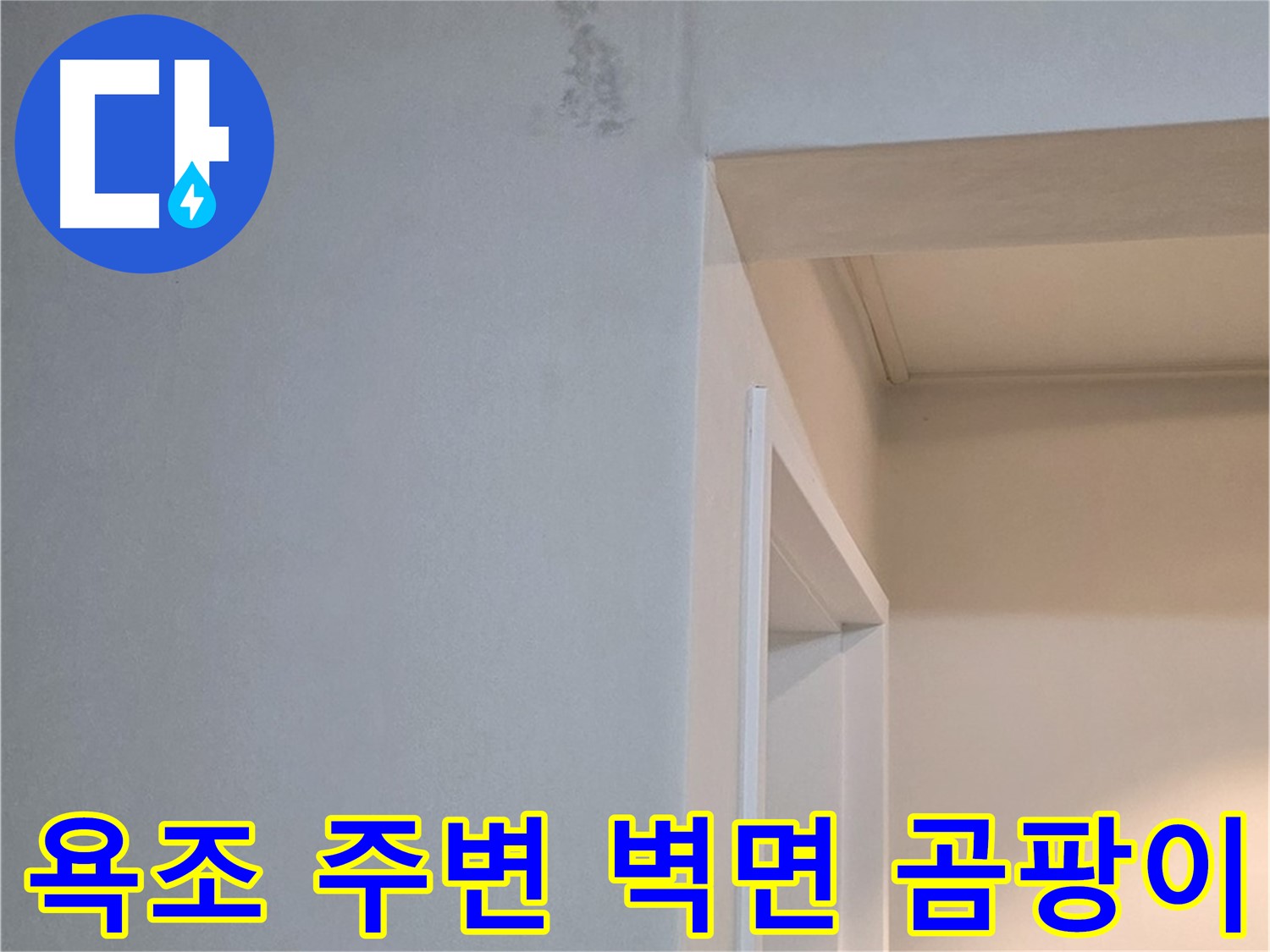 포천 일동 기산리 아파트 욕조 주변 벽면 곰팡이 - 건강 위협 및 확실한 제거