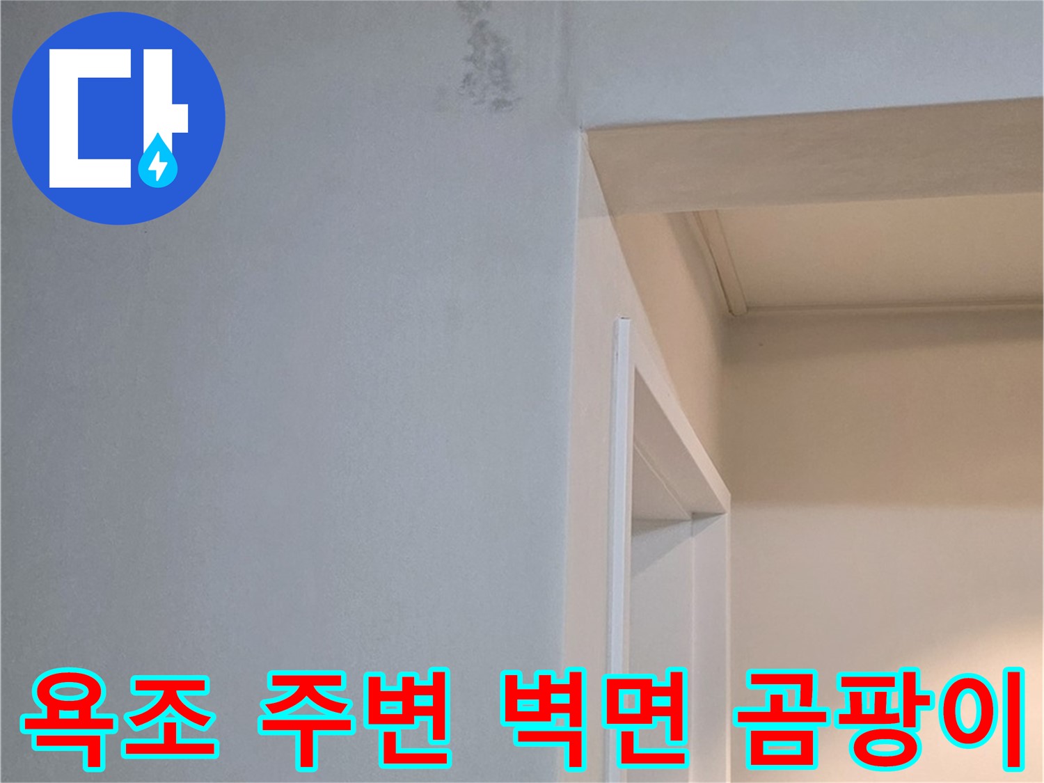 포천 일동 기산리 아파트 욕조 주변 벽면 곰팡이 - 누수 해결 및 곰팡이 제거