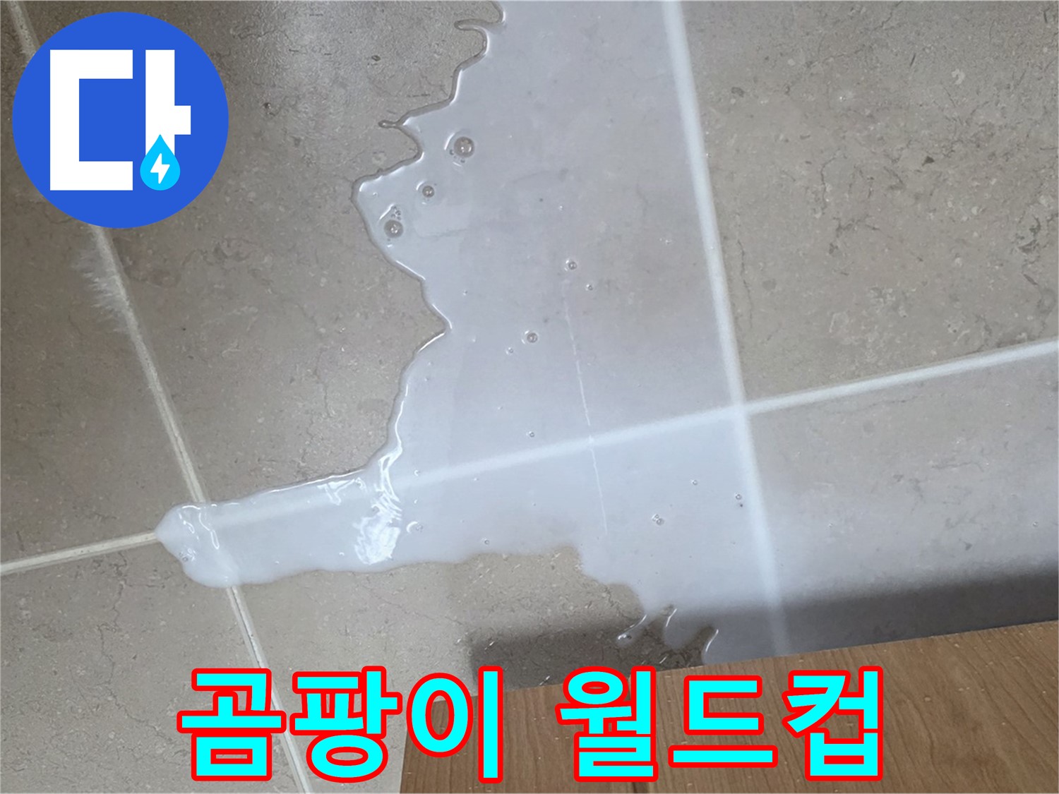포천 일동 기산베스트빌 아파트 - 씽크대 누수로 인해 곰팡이가 무성하게 자라나는 모습 - 곰팡이 월드컵 개최 전에 막자