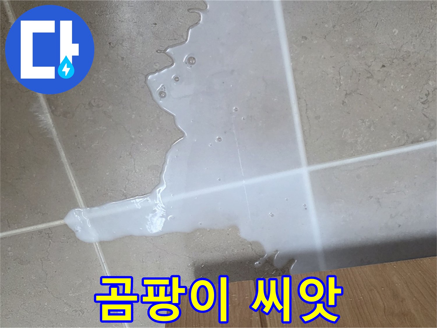 포천 일동 기산베스트빌 아파트 - 씽크대 누수로 인해 곰팡이가 번식하기 시작한 모습 - 곰팡이 씨앗 뿌리기 전에 차단