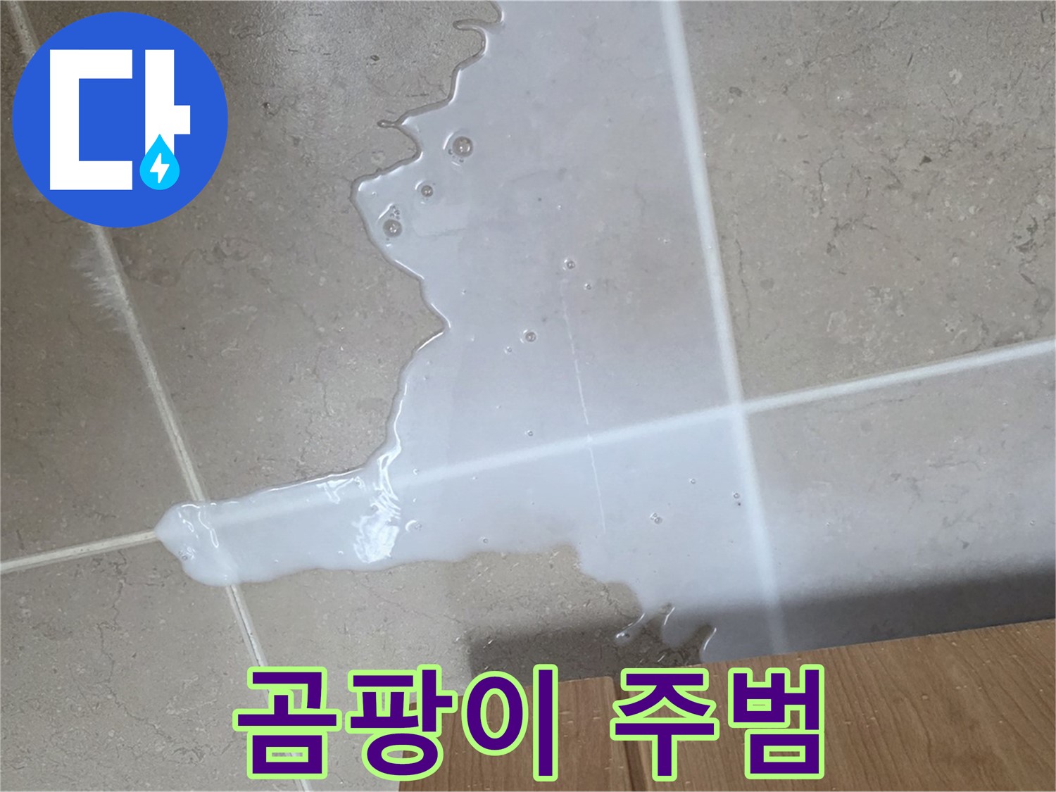 포천 일동 기산베스트빌 아파트 - 씽크대 누수로 인해 곰팡이가 슬기 시작한 모습