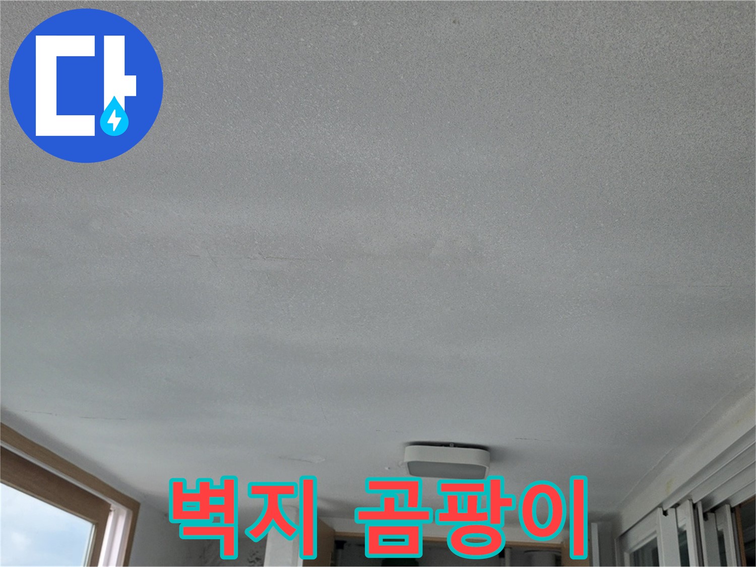 포천 일동 누수 - 젖은 벽지에 곰팡이까지!