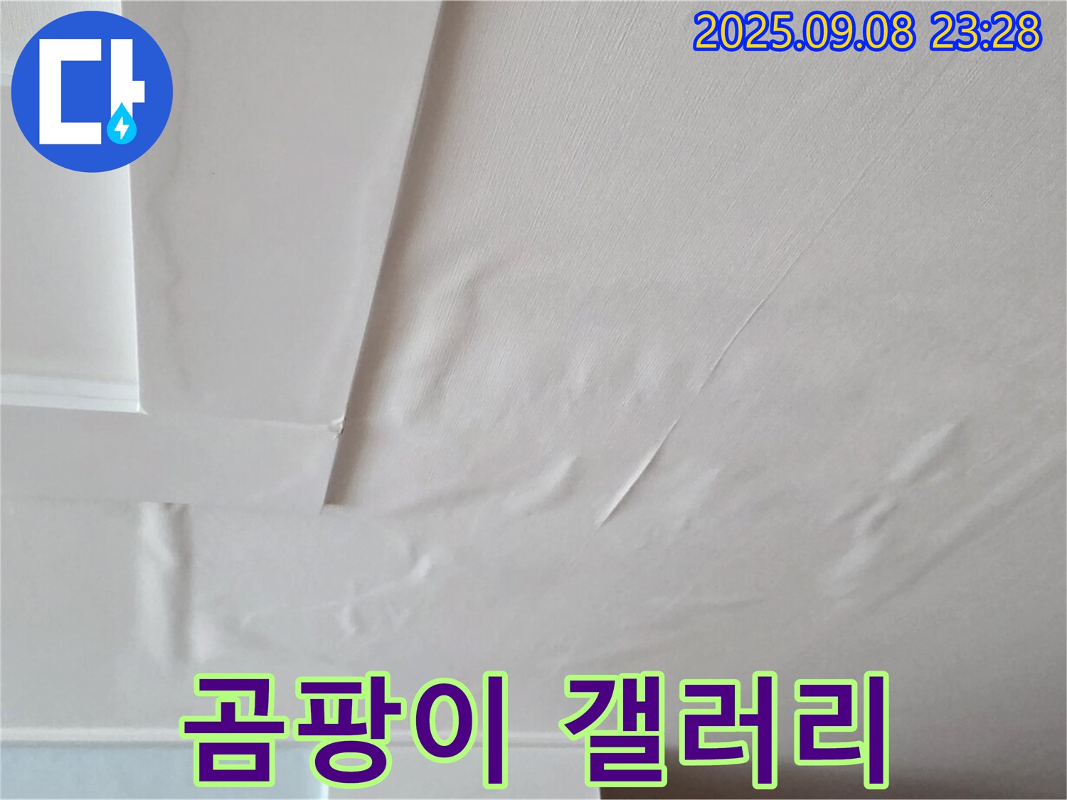 포천 일동 아파트 - 곰팡이 갤러리 - 건강 위협 - 누수 해결 필수