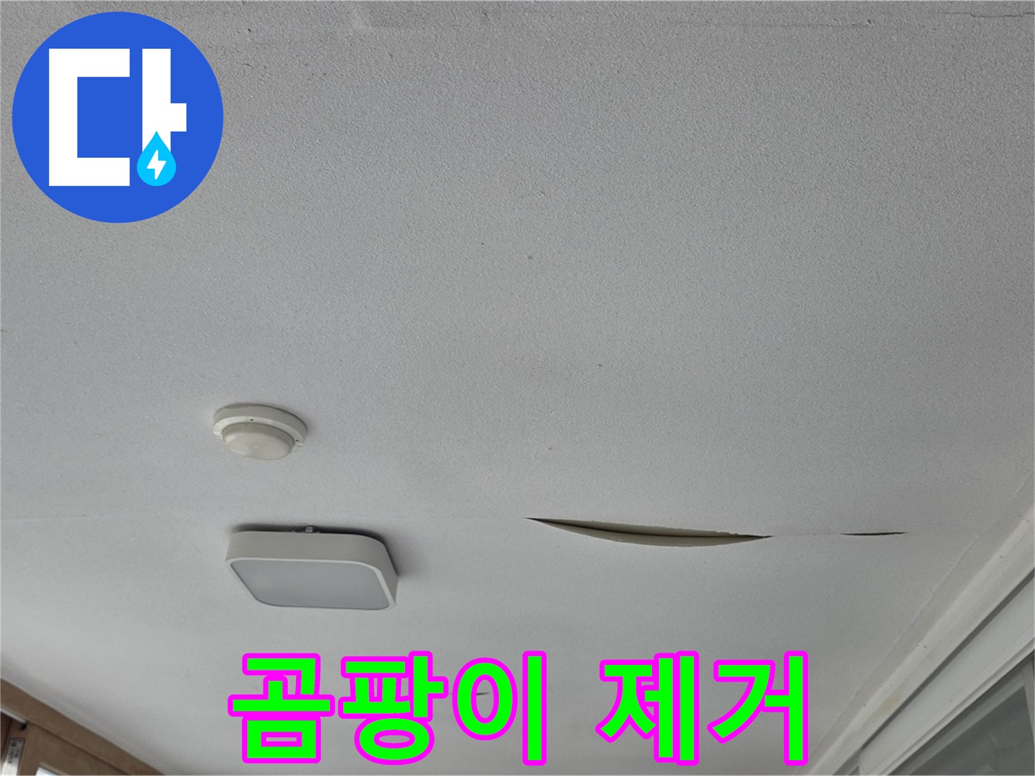 포천 일동 아파트 천장 누수 - 곰팡이 석고보드 제거 및 완벽 교체