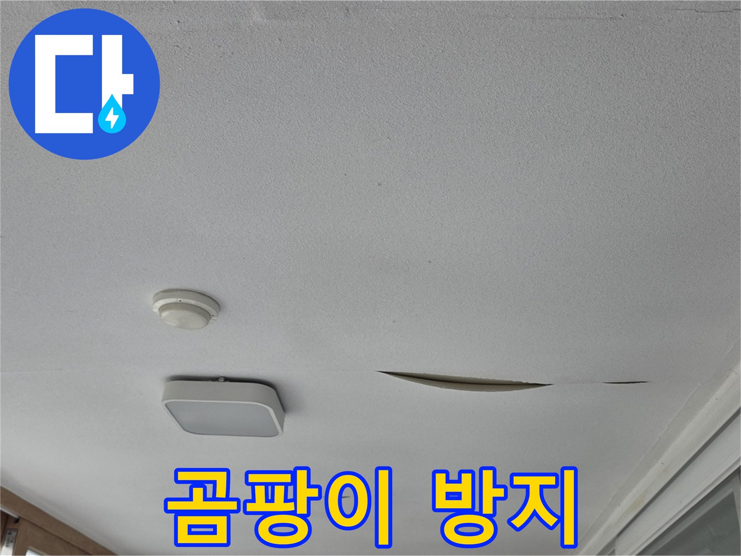 포천 일동 아파트 천장 누수 - 젖은 석고보드 곰팡이 방지 시공