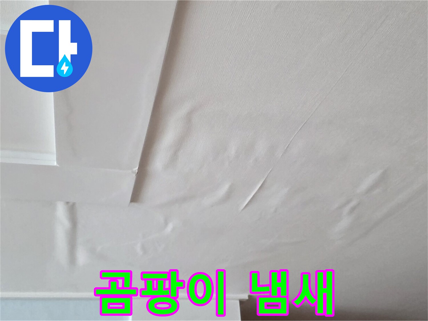 포천 일동 천장 누수 - 곰팡이 냄새와 건강 위협