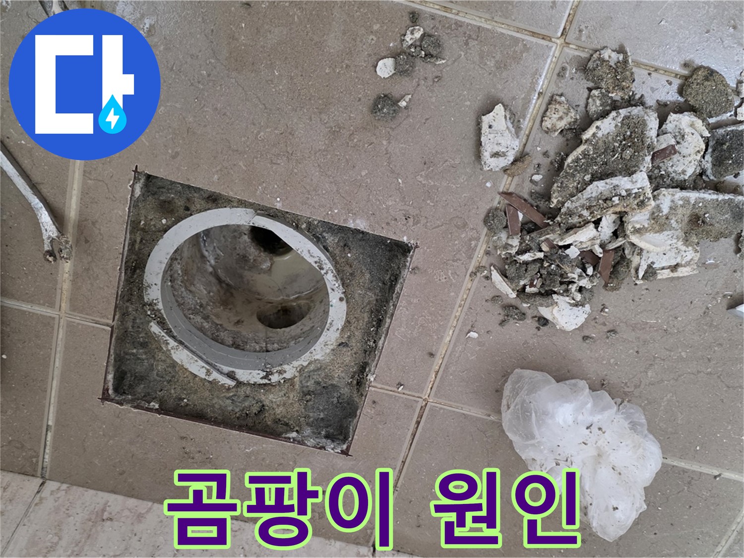 포천시 일동 욕실 - 깨진 타일 속 욕실 배수구, 곰팡이 냄새의 원인일 수 있습니다!