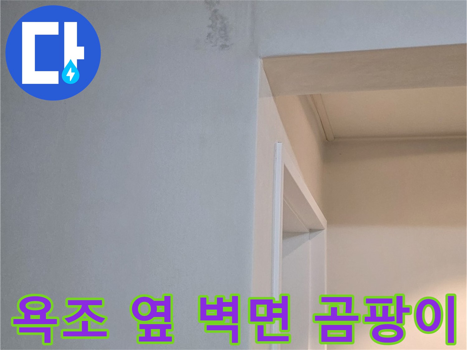 포천시 일동면 기산리 아파트 욕조 옆 벽면 곰팡이 - 곰팡이 제거 전문