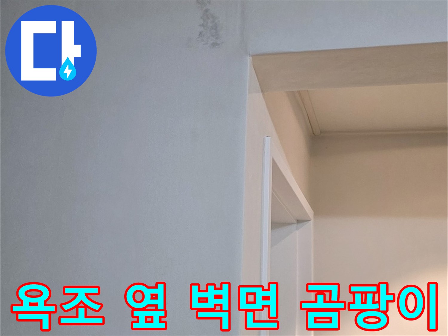 포천시 일동면 기산리 아파트 욕조 옆 벽면 곰팡이 - 긴급 누수 점검 필요