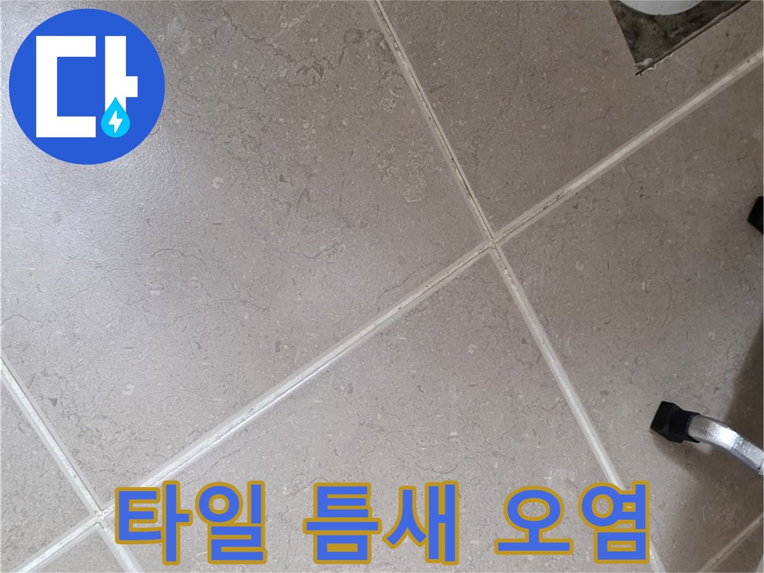 포천시 일동면 기산리 욕실 배수구 주변 타일 틈새 오염 확인 - 곰팡이 발생 가능성이 있습니다.