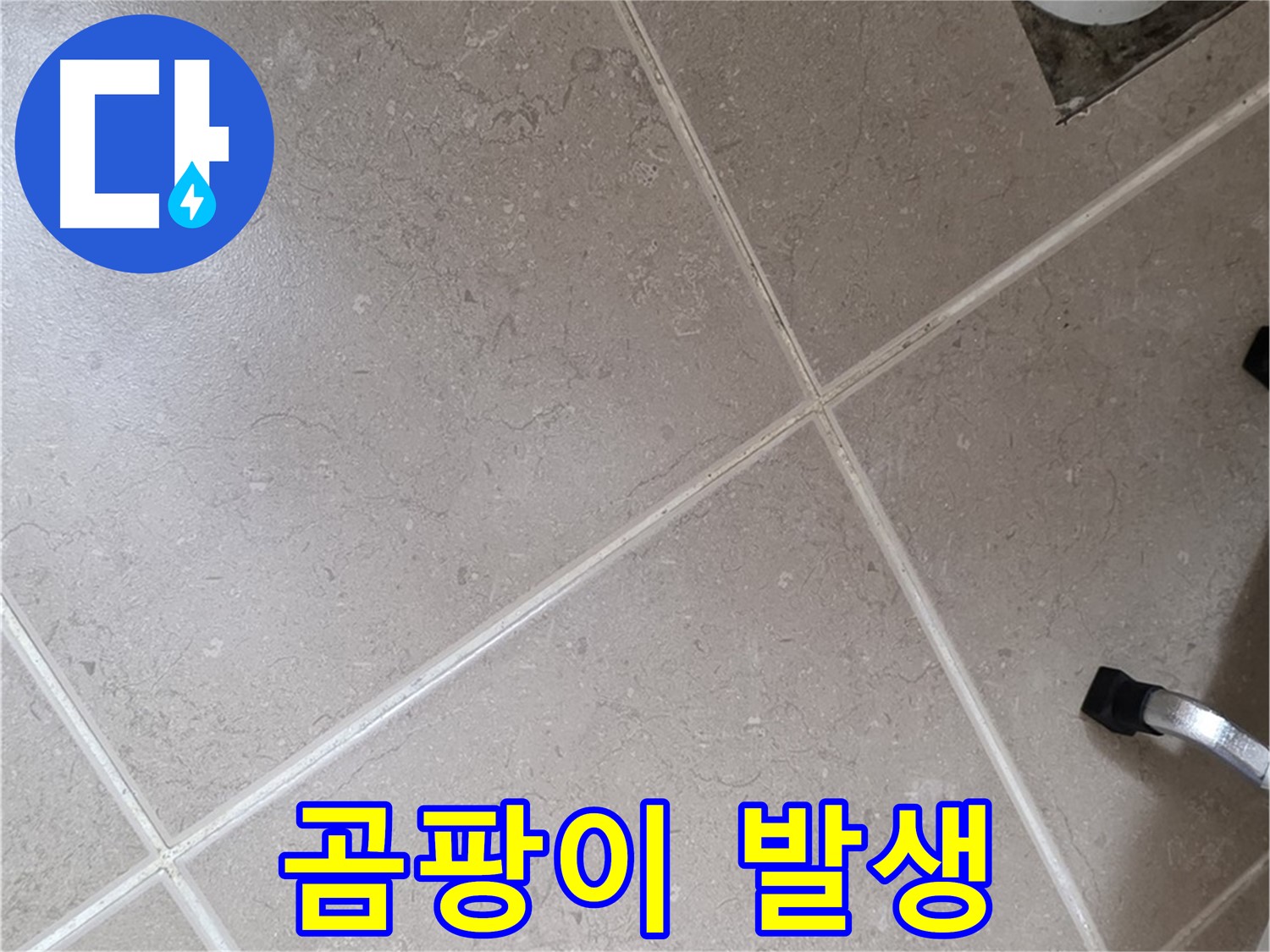 포천시 일동면 운악청계로 욕실 배수구 주변 곰팡이 발생 확인 - 습한 환경이 지속되면 발생합니다.