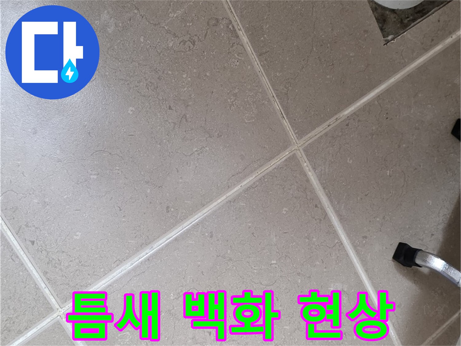 포천시 일동면 운악청계로 욕실 배수구 주변 타일 틈새 백화 현상 - 물이 증발하면서 생긴 자국일 수 있습니다.