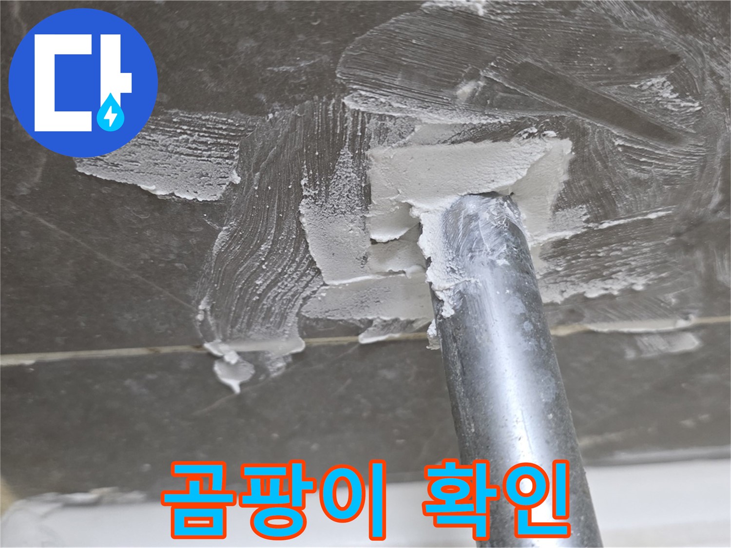 백시멘트 제거 후 곰팡이 - 철저한 제거