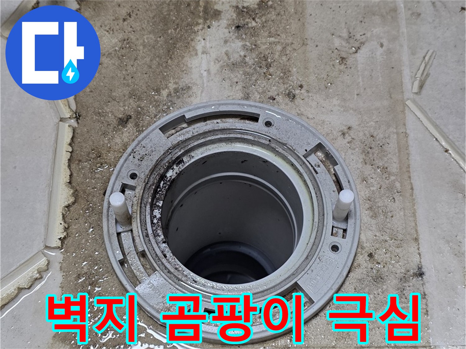 변기 뒤 벽면 - 벽지 곰팡이가 극심하게 발생했습니다.