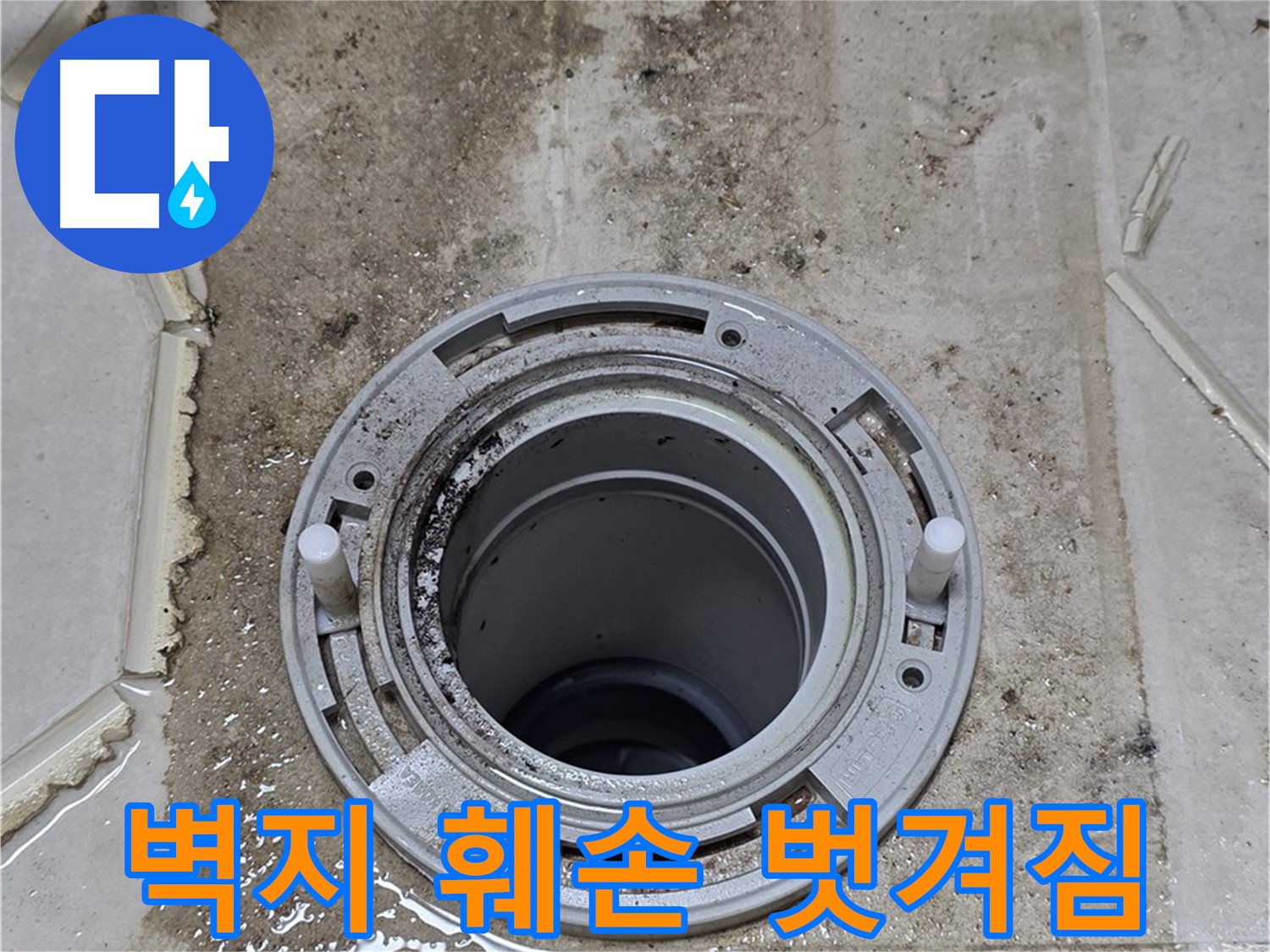 변기 뒤 벽면 - 벽지 훼손과 페인트 벗겨짐이 심각하게 진행되고 있습니다.