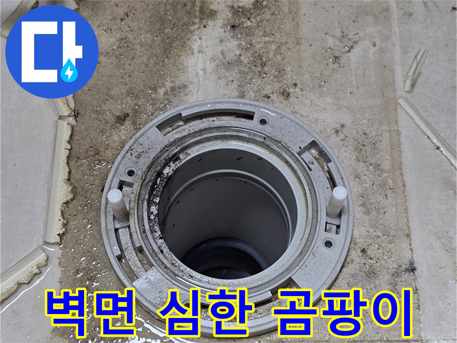 변기 뒤 벽면 심각한 오염 - 곰팡이와 악취가 심하게 발생하고 있습니다.