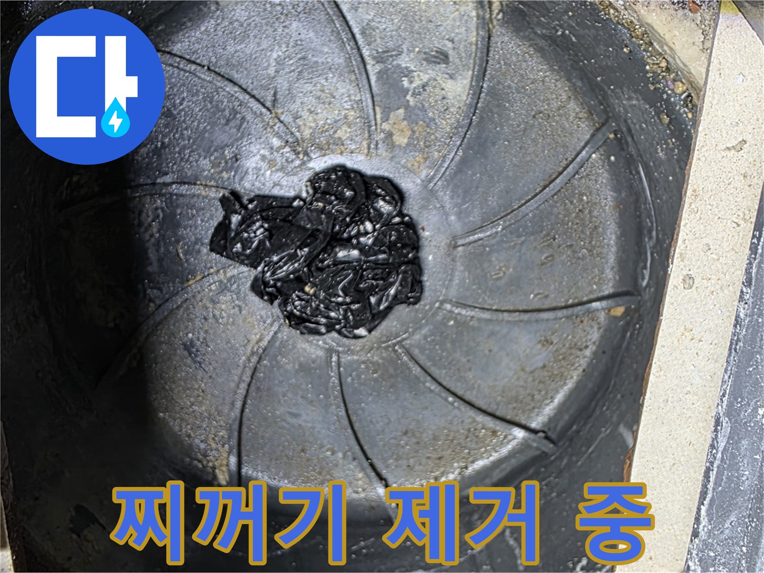 세탁기 배수구 - 검은 찌꺼기 덩어리 제거 작전 개시!