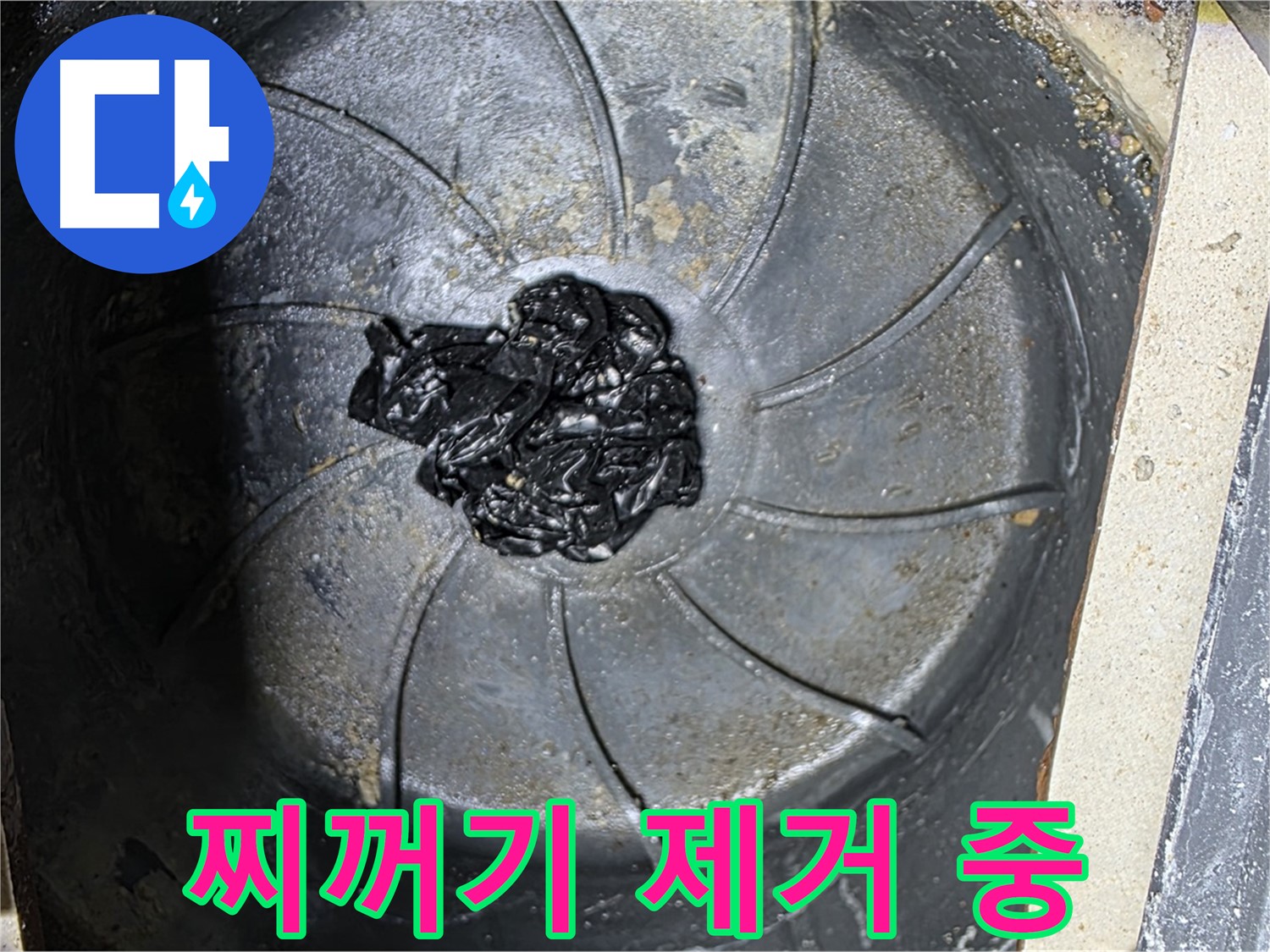 세탁기 배수구 - 검은 찌꺼기 제거 작전 개시!