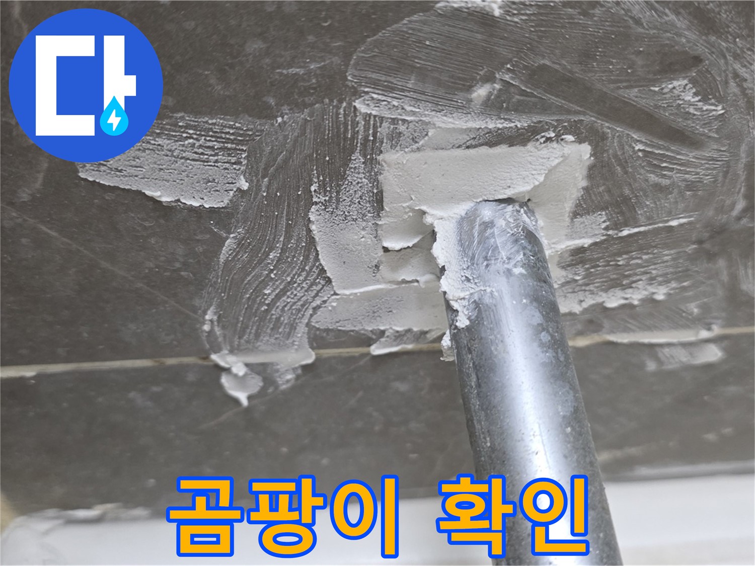 실리콘 제거 후 곰팡이 발견 - 철저한 제거