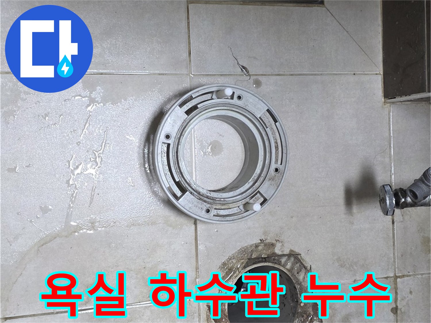양주 옥정 율정마을 아파트 욕실 하수관 누수 - 누수 전문가의 완벽한 해결