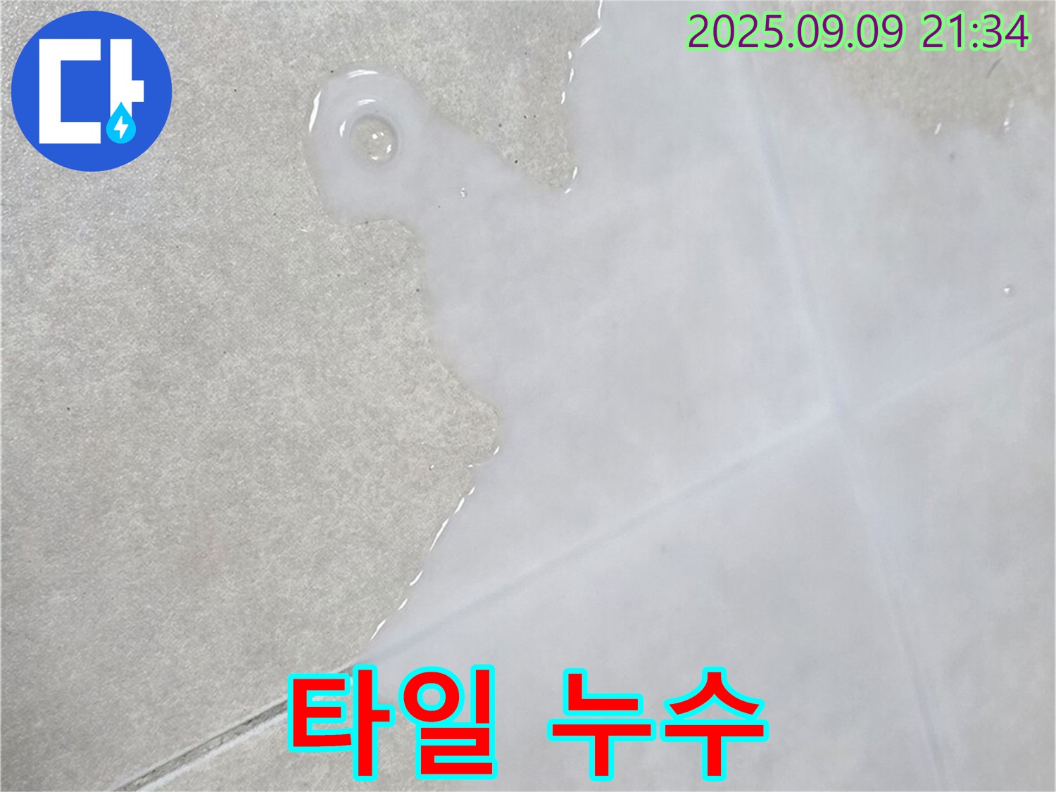 양주 옥정 율정마을 아파트 타일 누수 - 꼼꼼한 점검과 확실한 보수