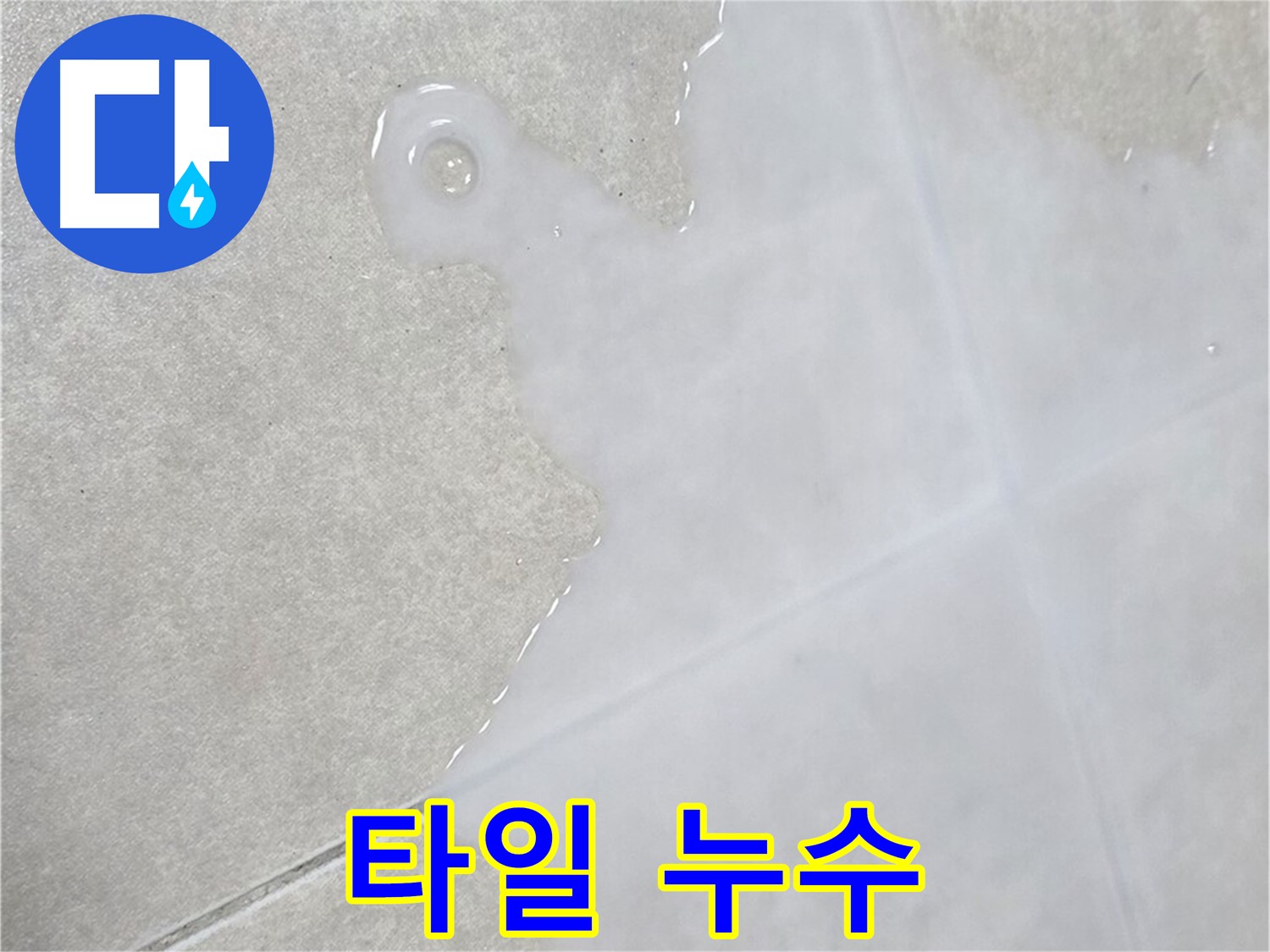 양주 옥정 율정마을 아파트 타일 누수 - 누수 탐지부터 완벽 시공까지 책임