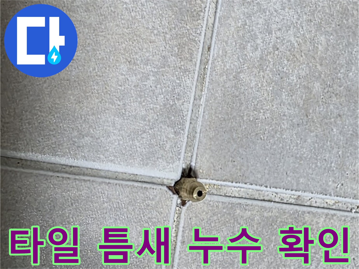 양주 옥정 율정마을 아파트에서 발생한 타일 틈새 누수 - 누수탐지 전문가가 정확하게 진단하고 해결합니다.