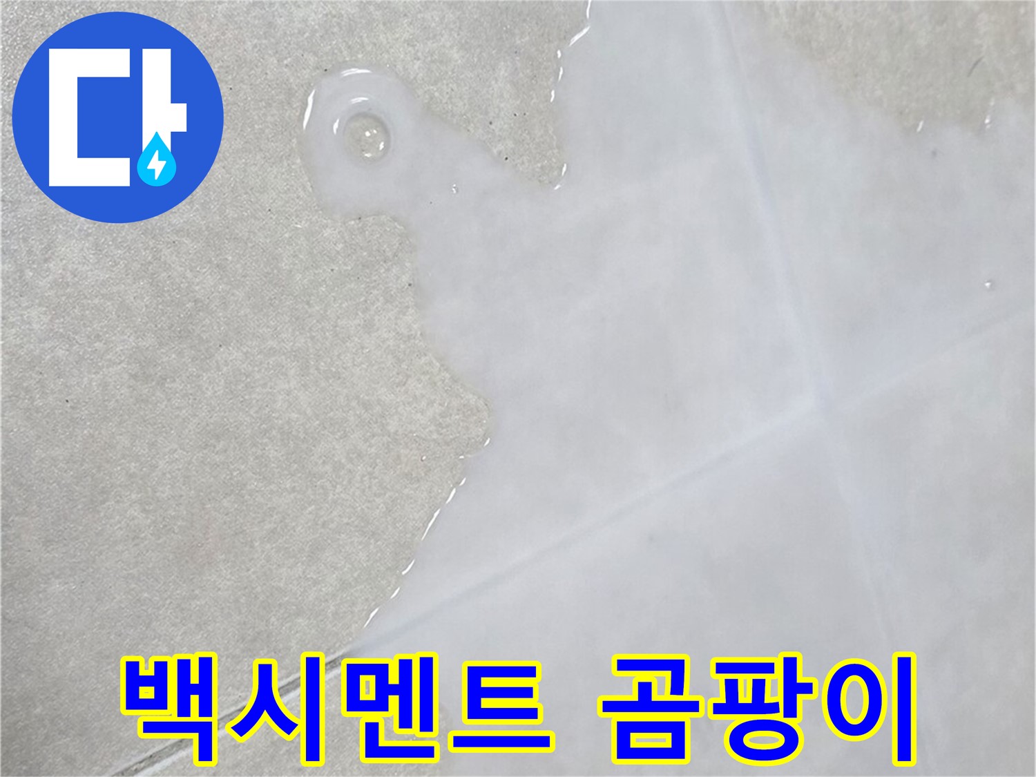 양주 옥정 율정마을13단지 아파트 타일 틈새 백시멘트 곰팡이 - 누수 전문가의 정밀 진단