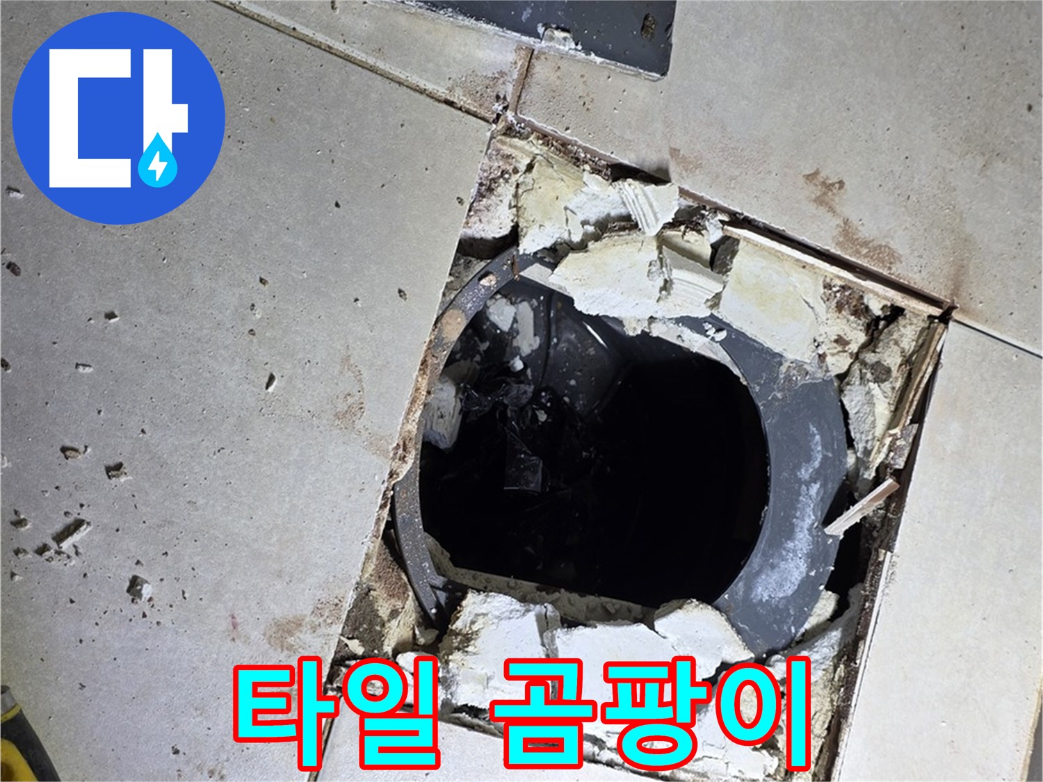 양주 옥정동 욕실 누수 - 율정마을13단지 배수구 주변 깨진 타일 파편과 곰팡이의 습격
