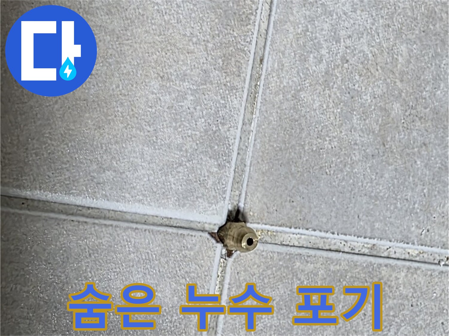 양주 옥정동 율정마을 13단지 아파트 누수 - 숨어있는 누수도 포기하지 않고 끝까지 찾아냅니다.