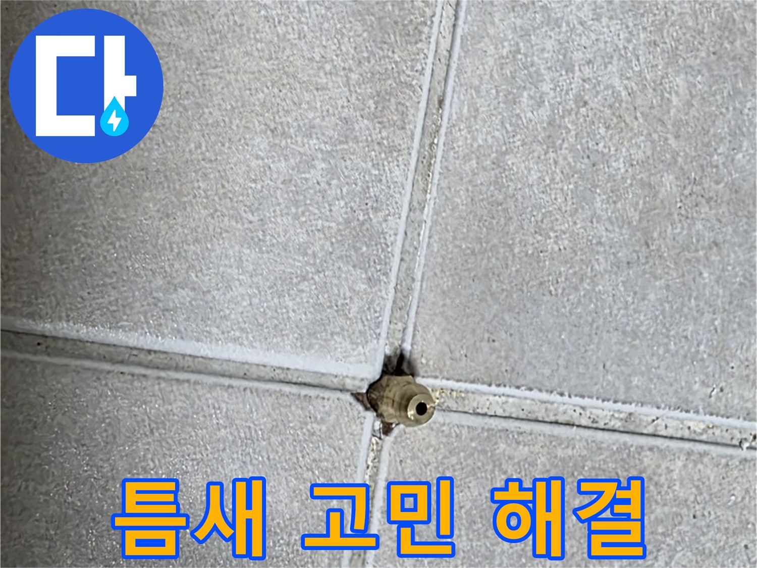양주 옥정동 율정마을 아파트 누수 - 타일 틈새 구멍으로 인한 누수 문제, 더 이상 고민하지 마세요!