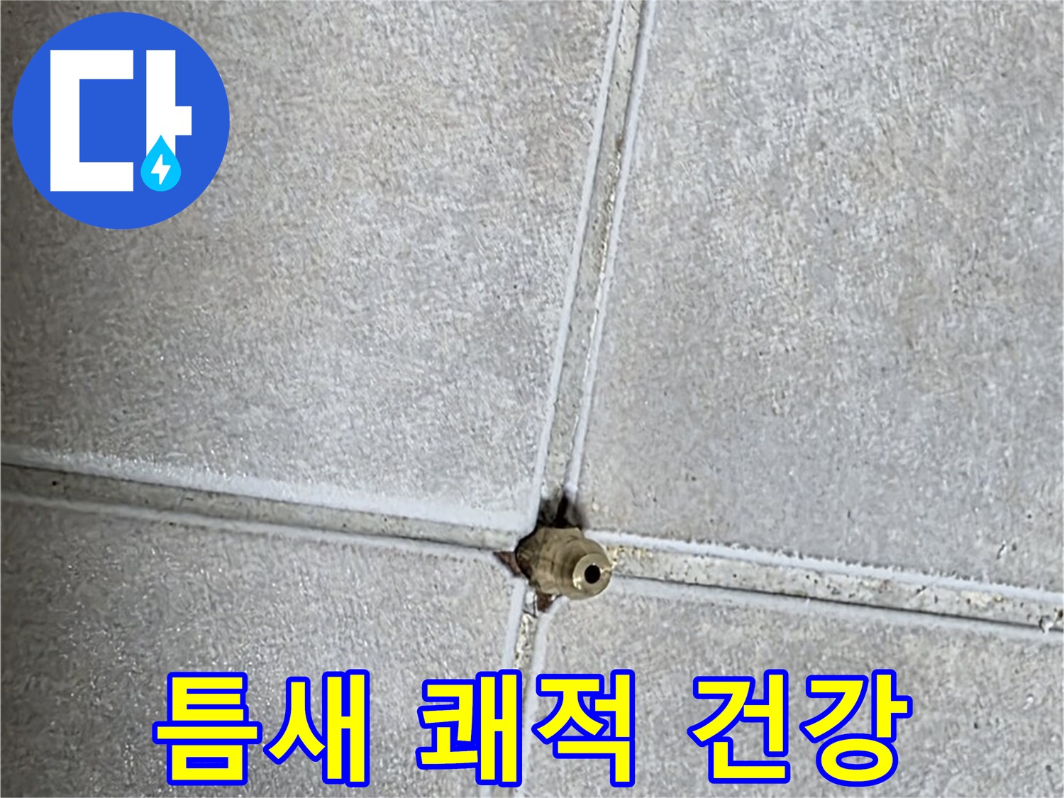 양주 옥정동 율정마을 아파트 누수 - 타일 틈새 누수, 완벽하게 차단하고 쾌적한 환경에서 건강하게 생활하세요!