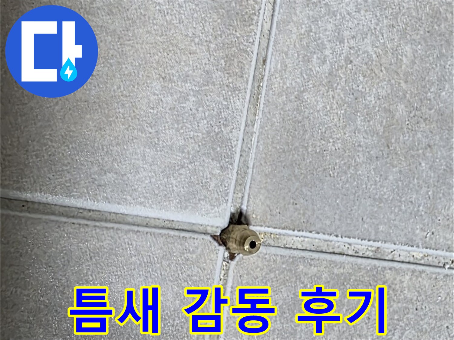 양주 옥정동 율정마을 아파트 누수 - 타일 틈새 누수, 완벽하게 해결하고 고객님께서 감동하신 후기를 확인하세요!