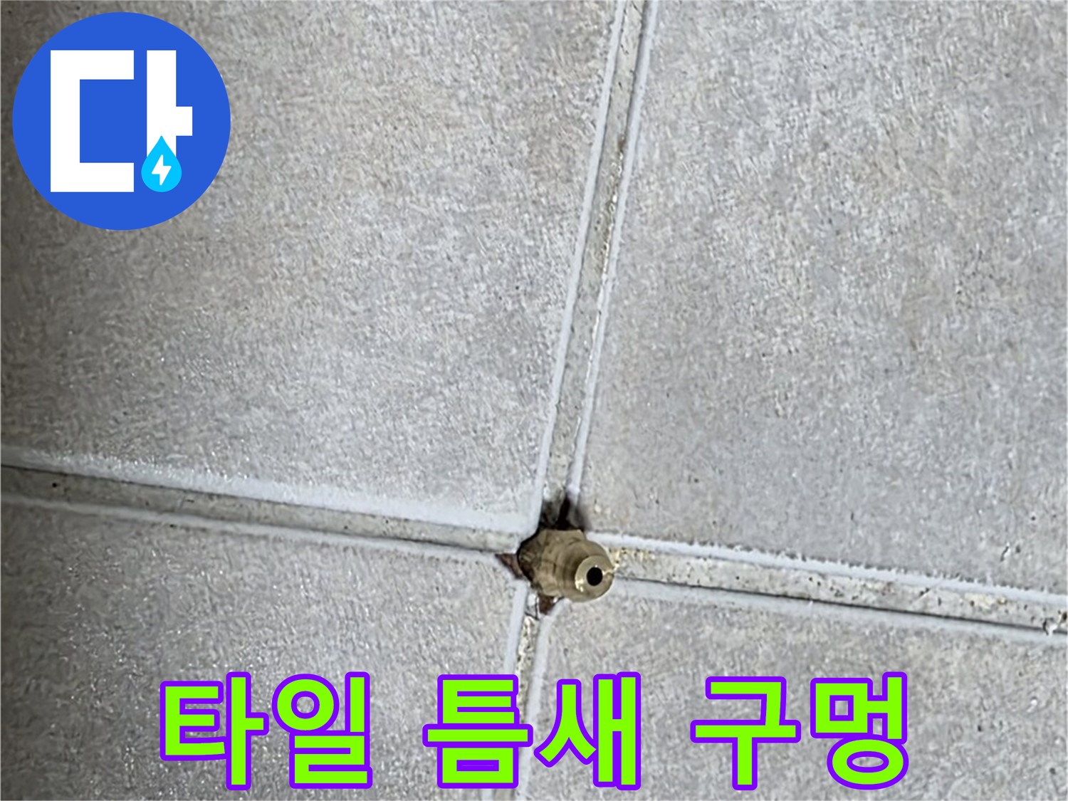 양주 옥정동 율정마을 아파트 누수 - 타일 틈새에 뚫린 작은 구멍, 누수 탐지의 시작을 알립니다.