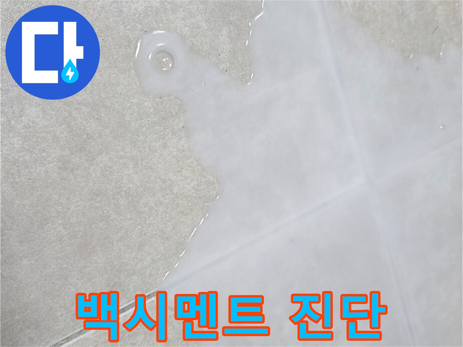 양주 옥정동 율정마을 아파트 타일 틈새 백시멘트 오염 - 누수 의심 시 진단 필수