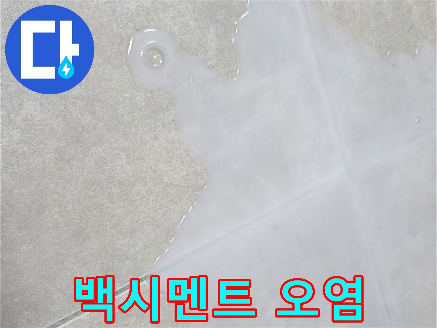양주 옥정동 율정마을 아파트 타일 틈새 백시멘트 오염 - 누수 의심, 정밀 진단 필요