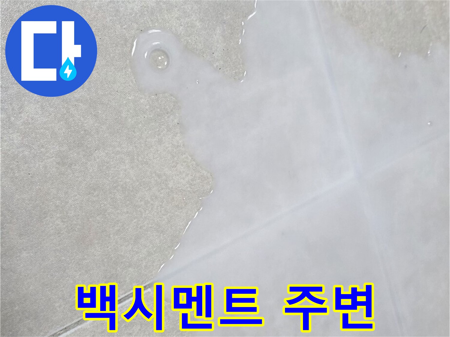 양주 옥정동 율정마을 아파트 타일 틈새 백시멘트 주변 물 - 누수 진단 및 보수