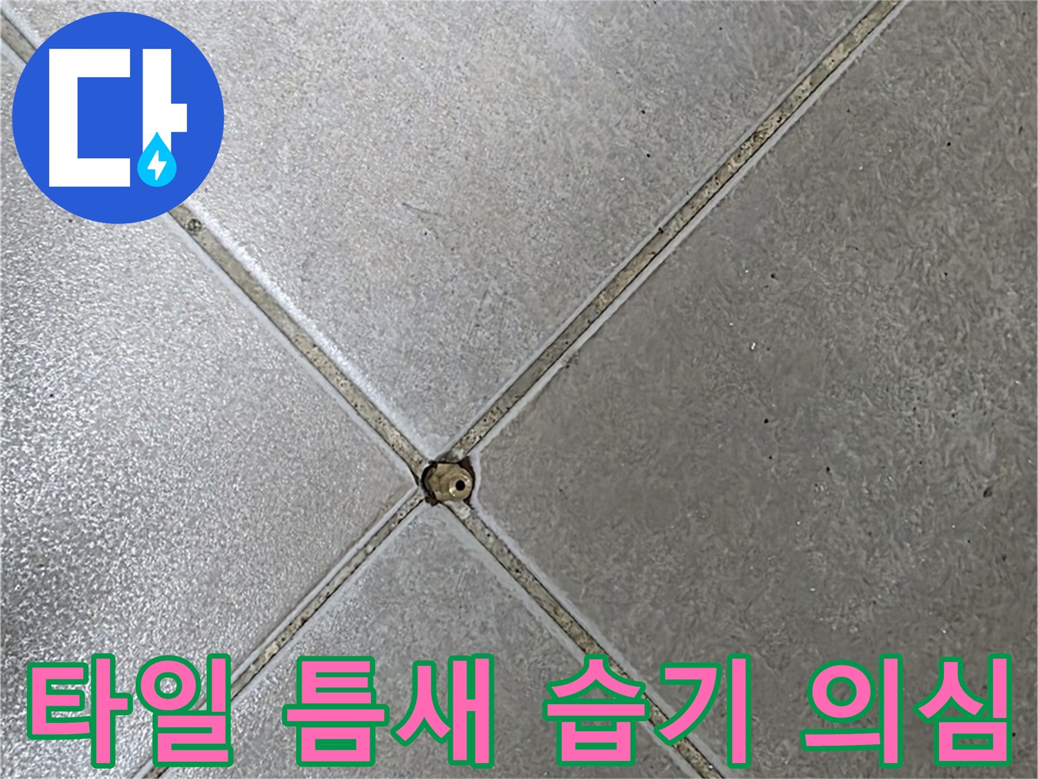 양주 율정마을 아파트 타일 틈새 습기 - 누수 의심 상황입니다.