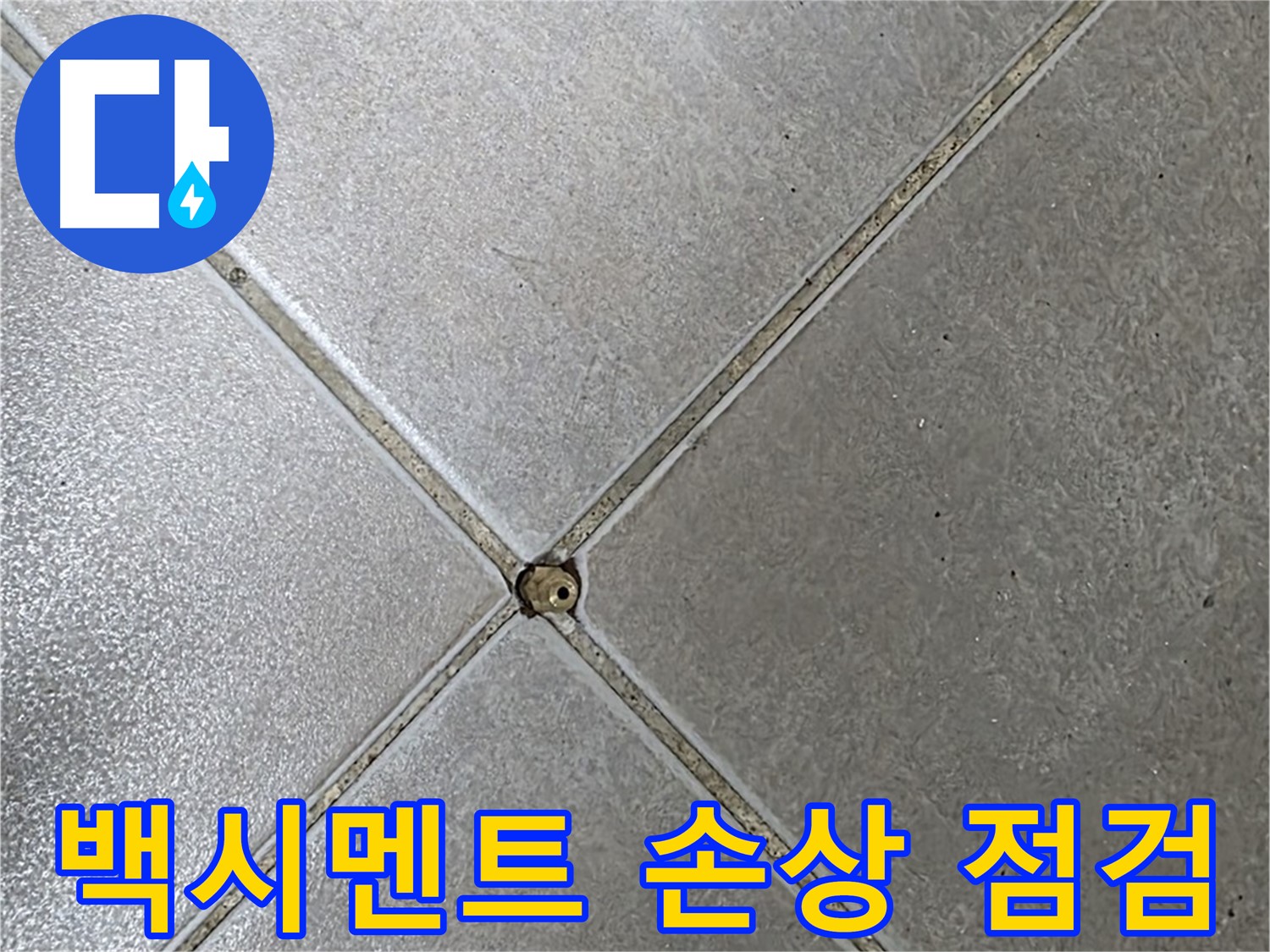 양주시 옥정동 율정마을 13단지 아파트 타일 틈새 백시멘트 손상 - 초기 점검 과정입니다.
