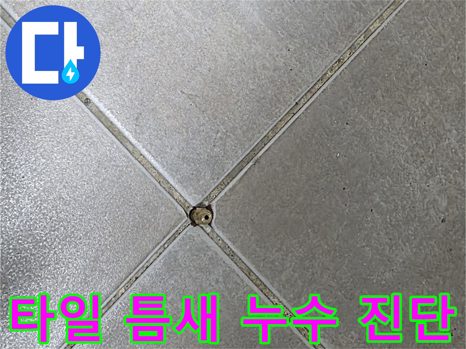 양주시 옥정동 율정마을 아파트 타일 틈새 누수 - 누수탐지 전문가의 정확한 진단과 해결 과정을 확인하세요.