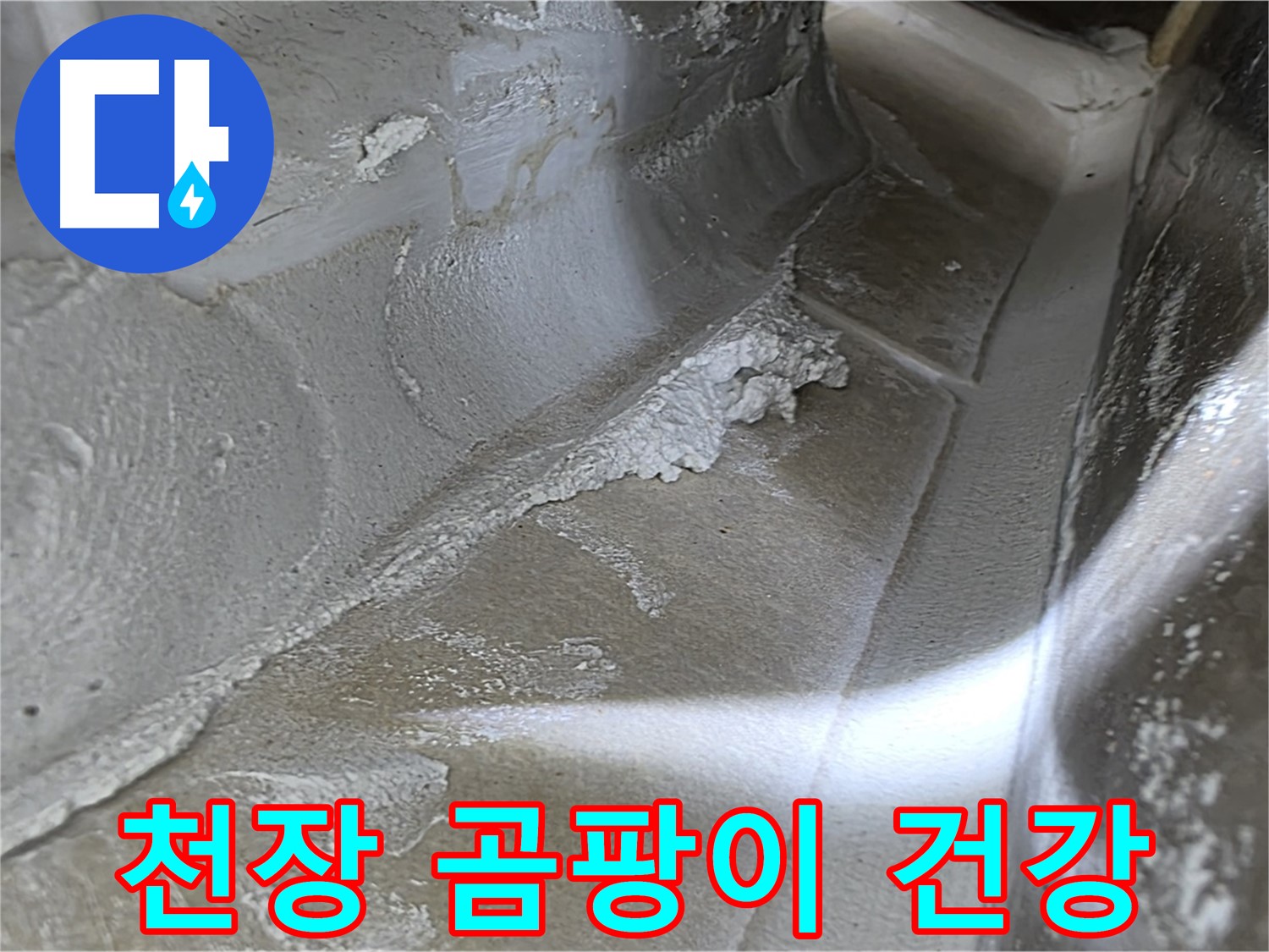 옥정 율정마을 1309동 천장 누수 - 곰팡이 발생은 건강을 위협할 수 있으므로 빠른 해결이 필요합니다.