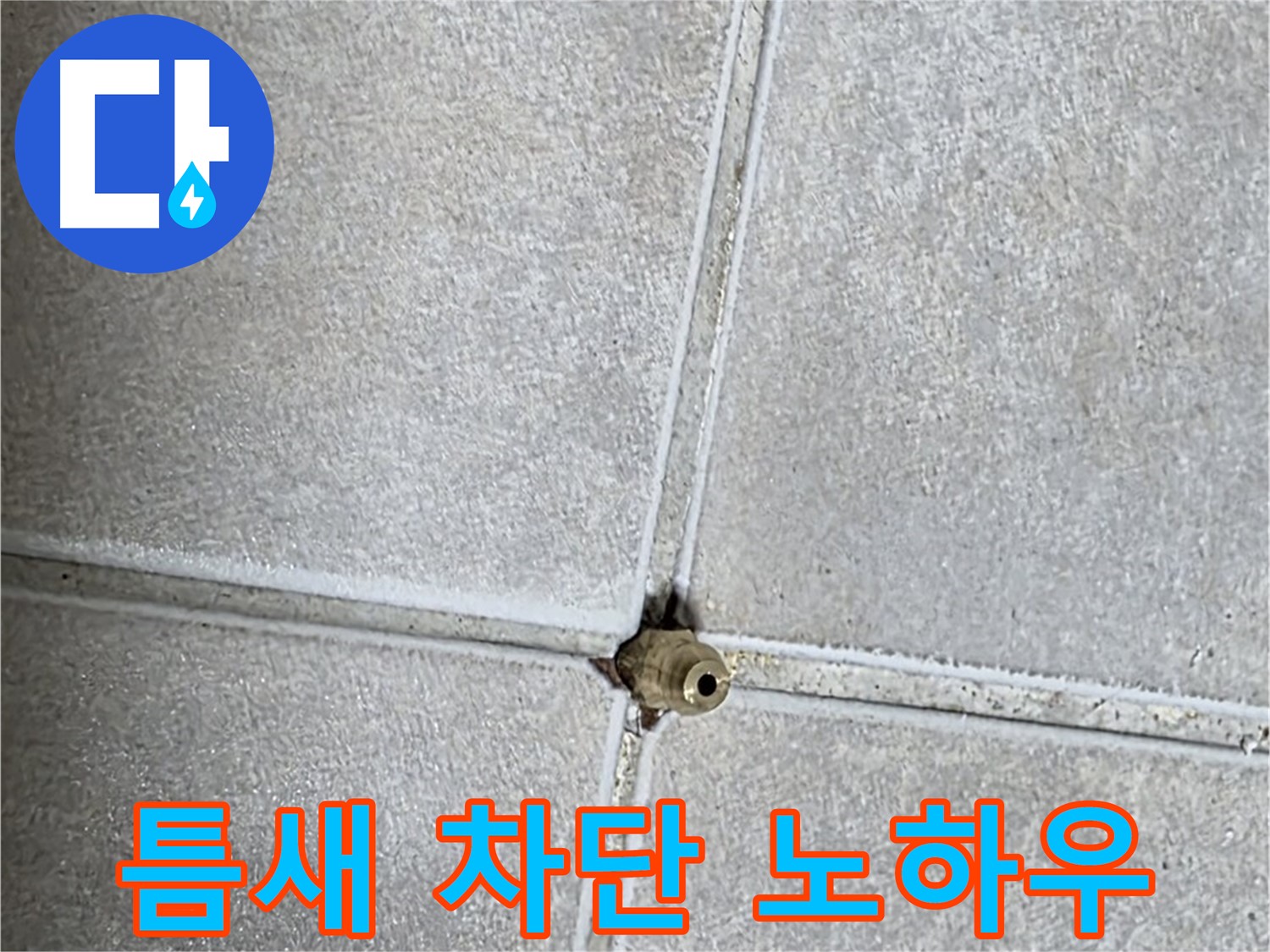 옥정 율정마을 아파트 누수 - 타일 틈새 구멍, 저희만의 완벽 차단 시공 노하우를 공개합니다.