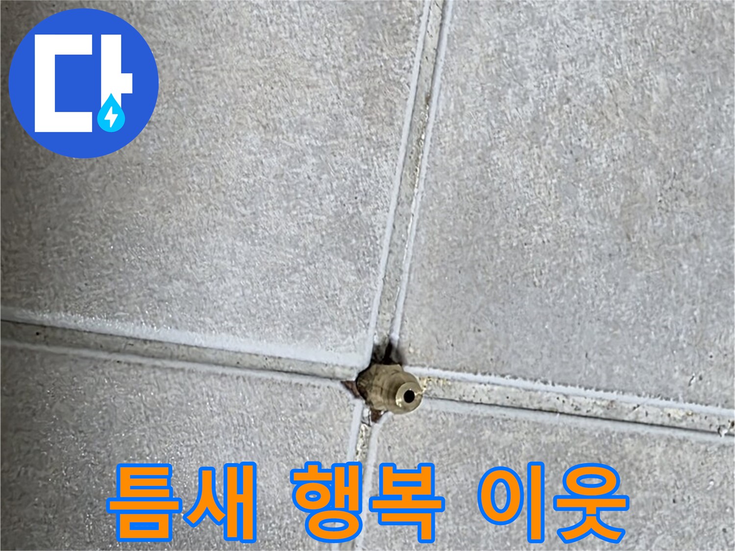 옥정 율정마을 아파트 누수 - 타일 틈새 누수 해결, 이웃사촌과 함께 웃는 행복한 우리 집을 만들어 드립니다!