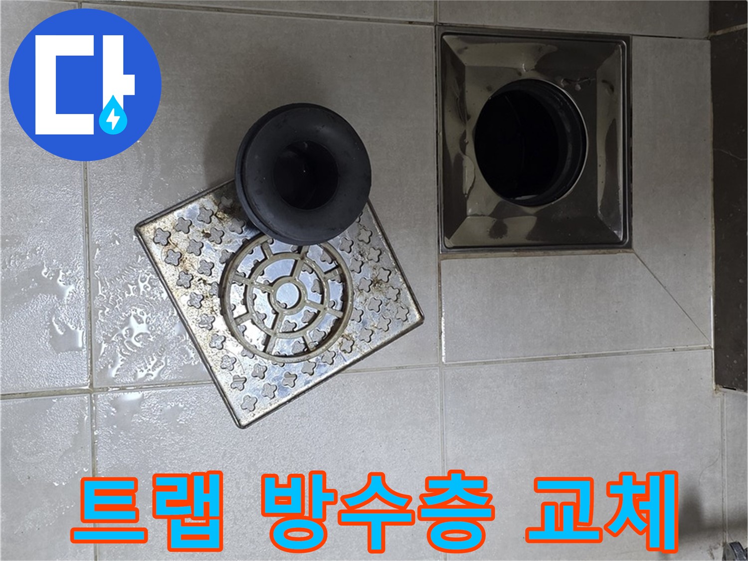 옥정 율정마을 아파트 - 욕실 배수구 누수, 낡은 트랩과 손상된 방수층 교체