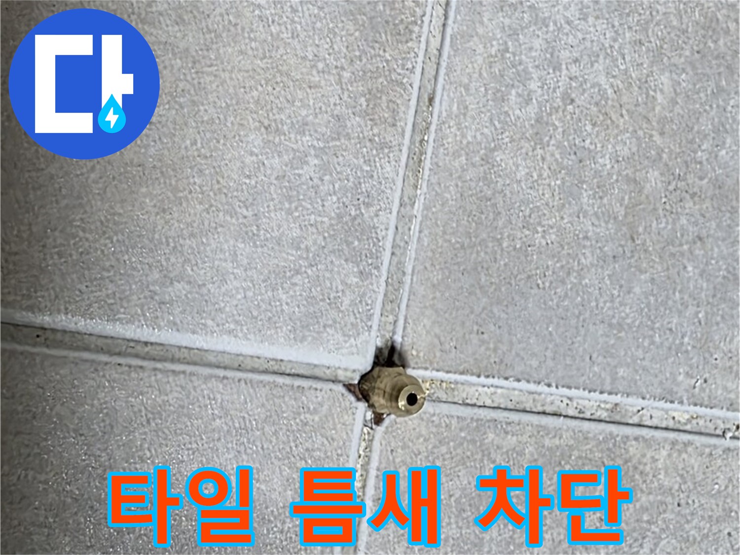 옥정 율정마을 아파트 타일 틈새 누수 - 완벽하게 차단하여 누수 걱정 없이 편안하게 생활하세요.