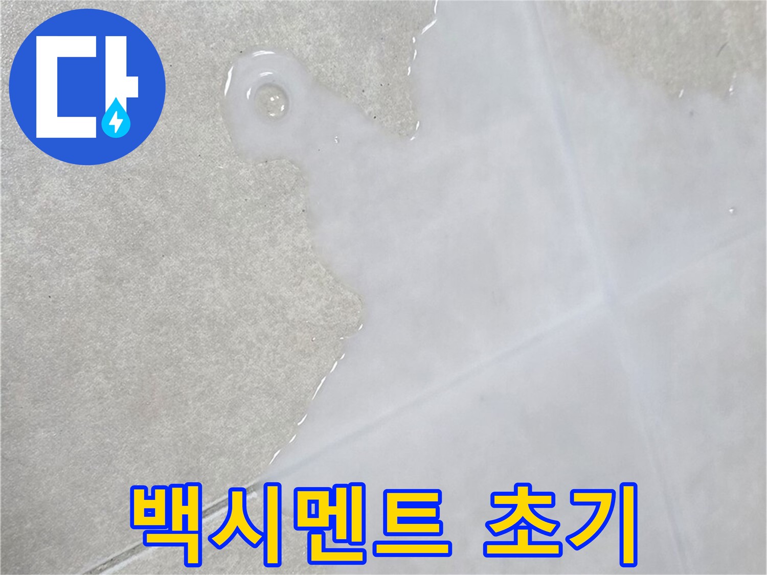 옥정 율정마을 아파트 타일 틈새 백시멘트 변색 - 누수 초기 증상일 수 있습니다.